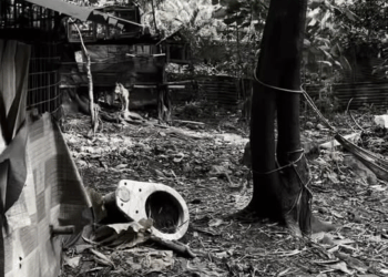 [MGA EPISOD] 169P1119 baliw na puso part 10