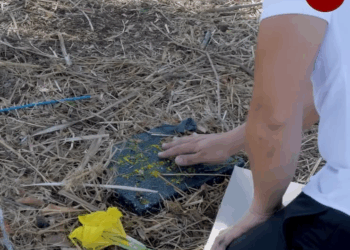 [MGA EPISOD] 022P1119 ina inalay ang buhay para sa adik na anak