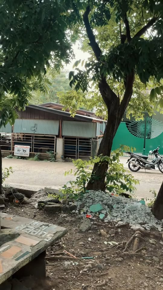 [MGA EPISOD] 211P1119 meteor garden (episode 13)