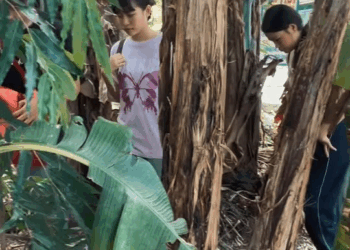 [MGA EPISOD] 253P1119 mahal kita maging sino ka man part 22