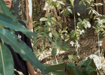 [MGA EPISOD] 255P1119 mahal kita maginf sino ka man part 20